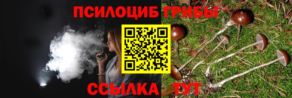 Псилоцибиновые грибы GOLDEN TEACHER Глазов