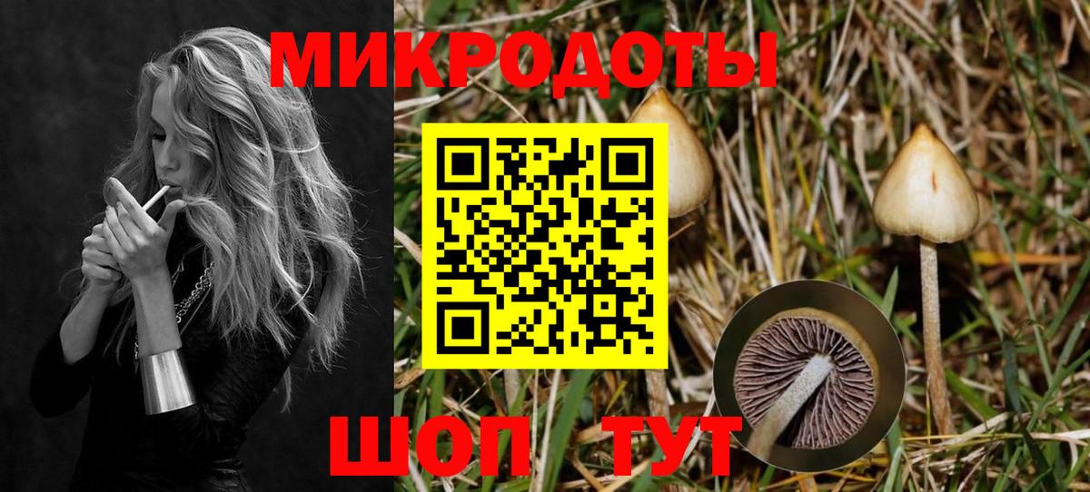 Галлюциногенные грибы Psilocybe  Псилоцибиновые грибы GOLDEN TEACHER  Вход с VPN  Глазов 